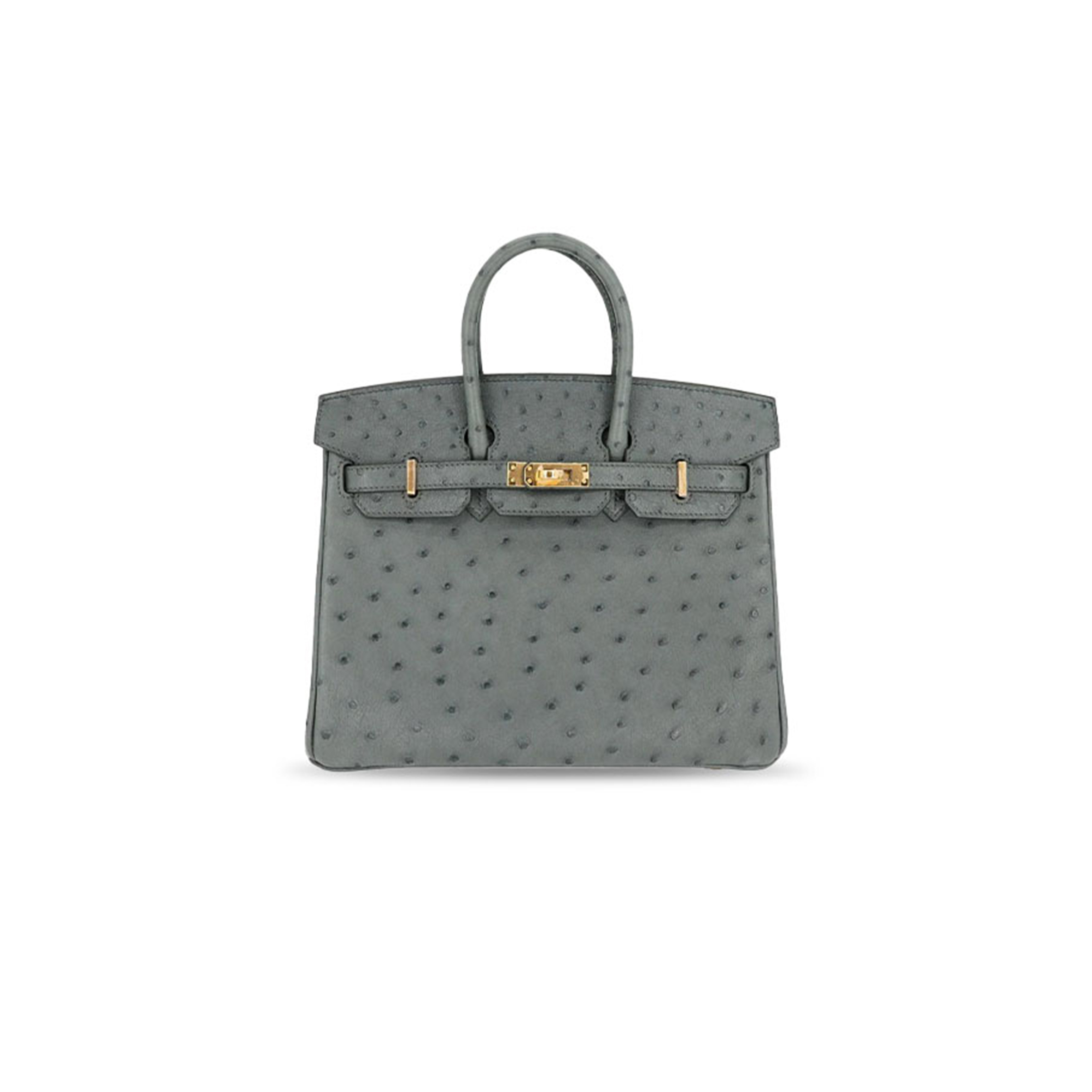 HERMÈS MASTER OSTRICH BIRKIN 25 BIRKIN HANDBAG (25*20*13cm)